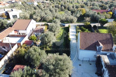 Landejendom i Olaia e Paco, Santarem, Olaia e Paco - € 115.000 | Ref: TAM_616 - foto 10