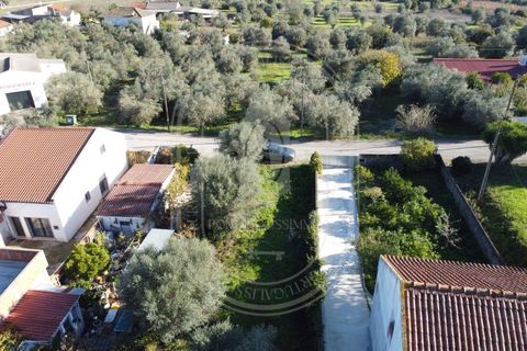 Landejendom i Olaia e Paco, Santarem, Olaia e Paco - € 115.000 | Ref: TAM_616 - foto 11