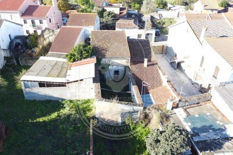 Landejendom i Olaia e Paco, Santarem, Olaia e Paco - € 115.000 | Ref: TAM_616 - foto 12