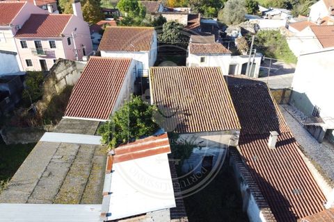 Landejendom i Olaia e Paco, Santarem, Olaia e Paco - € 115.000 | Ref: TAM_616 - foto 13