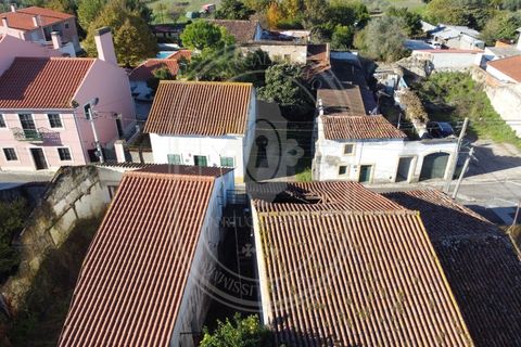 Landejendom i Olaia e Paco, Santarem, Olaia e Paco - € 115.000 | Ref: TAM_616 - foto 14
