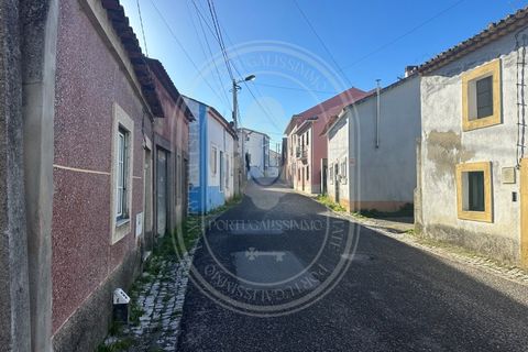 Landejendom i Olaia e Paco, Santarem, Olaia e Paco - € 115.000 | Ref: TAM_616 - foto 16
