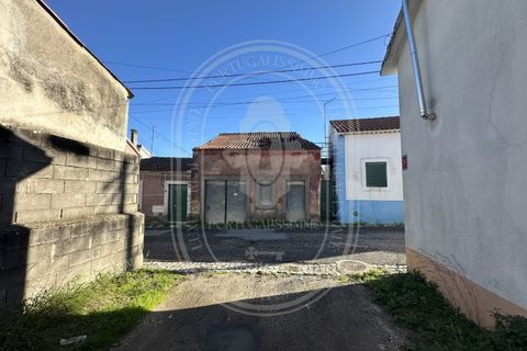 Landejendom i Olaia e Paco, Santarem, Olaia e Paco - € 115.000 | Ref: TAM_616 - foto 17