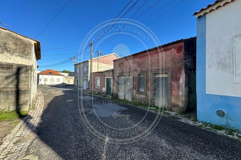 Landejendom i Olaia e Paco, Santarem, Olaia e Paco - € 115.000 | Ref: TAM_616 - foto 19