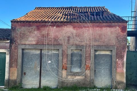 Landejendom i Olaia e Paco, Santarem, Olaia e Paco - € 115.000 | Ref: TAM_616 - foto 20