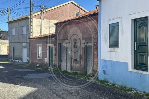 Landejendom i Olaia e Paco, Santarem, Olaia e Paco - € 115.000 | Ref: TAM_616 - foto 21