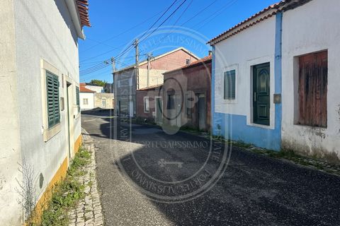Landejendom i Olaia e Paco, Santarem, Olaia e Paco - € 115.000 | Ref: TAM_616 - foto 22