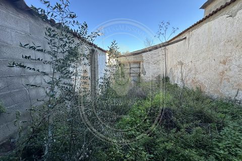 Landejendom i Olaia e Paco, Santarem, Olaia e Paco - € 115.000 | Ref: TAM_616 - foto 23