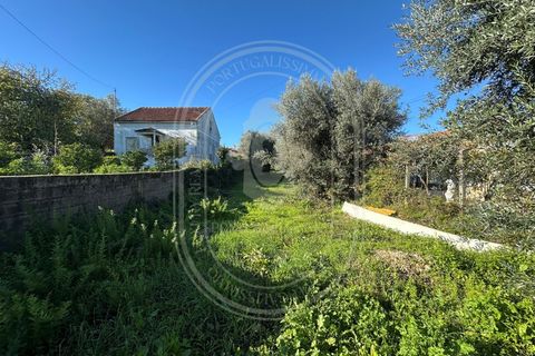 Landejendom i Olaia e Paco, Santarem, Olaia e Paco - € 115.000 | Ref: TAM_616 - foto 24