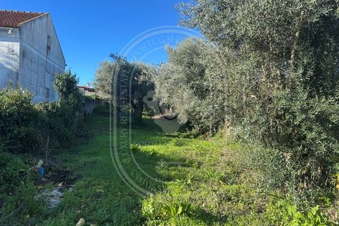 Landejendom i Olaia e Paco, Santarem, Olaia e Paco - € 115.000 | Ref: TAM_616 - foto 25