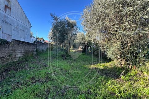 Landejendom i Olaia e Paco, Santarem, Olaia e Paco - € 115.000 | Ref: TAM_616 - foto 26