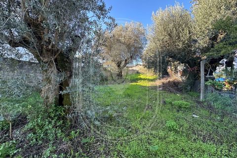 Landejendom i Olaia e Paco, Santarem, Olaia e Paco - € 115.000 | Ref: TAM_616 - foto 27