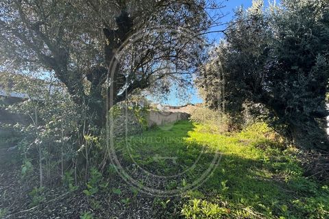 Landejendom i Olaia e Paco, Santarem, Olaia e Paco - € 115.000 | Ref: TAM_616 - foto 28