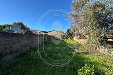 Landejendom i Olaia e Paco, Santarem, Olaia e Paco - € 115.000 | Ref: TAM_616 - foto 32