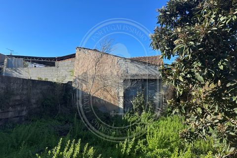 Landejendom i Olaia e Paco, Santarem, Olaia e Paco - € 115.000 | Ref: TAM_616 - foto 33