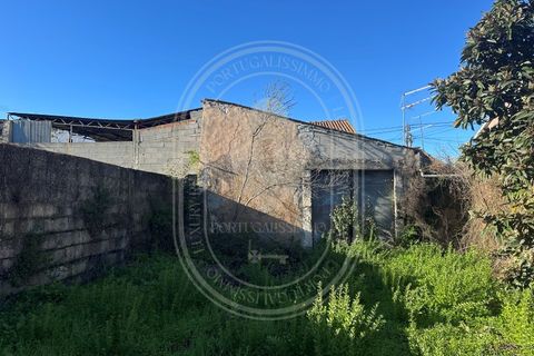 Landejendom i Olaia e Paco, Santarem, Olaia e Paco - € 115.000 | Ref: TAM_616 - foto 34