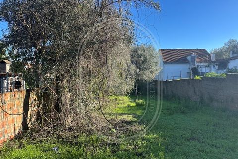 Landejendom i Olaia e Paco, Santarem, Olaia e Paco - € 115.000 | Ref: TAM_616 - foto 35