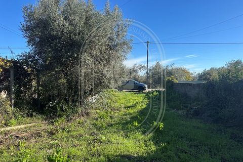 Landejendom i Olaia e Paco, Santarem, Olaia e Paco - € 115.000 | Ref: TAM_616 - foto 40