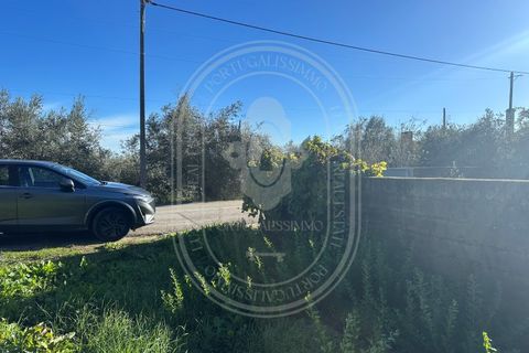 Landejendom i Olaia e Paco, Santarem, Olaia e Paco - € 115.000 | Ref: TAM_616 - foto 42