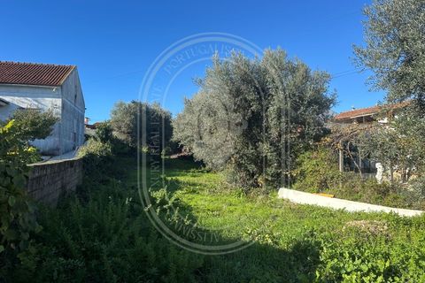 Landejendom i Olaia e Paco, Santarem, Olaia e Paco - € 115.000 | Ref: TAM_616 - foto 43