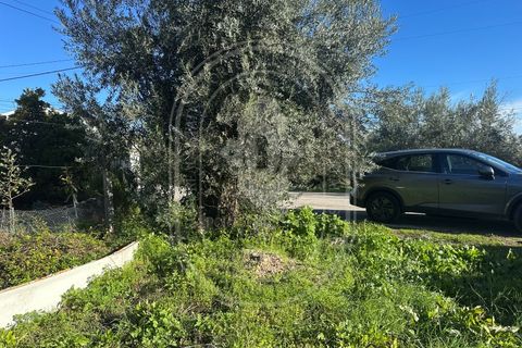 Landejendom i Olaia e Paco, Santarem, Olaia e Paco - € 115.000 | Ref: TAM_616 - foto 44