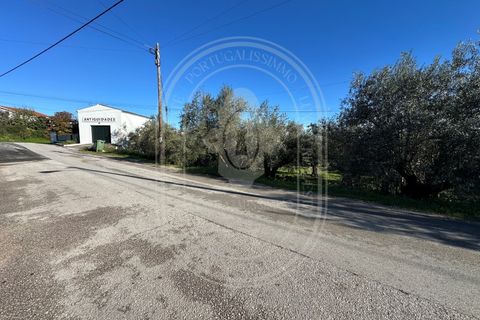 Landejendom i Olaia e Paco, Santarem, Olaia e Paco - € 115.000 | Ref: TAM_616 - foto 46