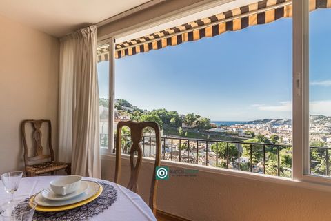 Landejendom i Almunecar, Granada, Almunecar - € 395.000 | Ref: 251121 - foto 47