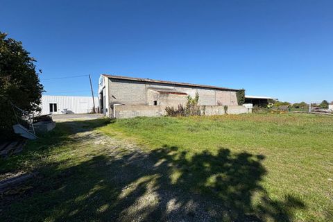 L'establiment comercial a Pons, Charente-Maritime, Pons - € 249.990 | Ref: 422745312B-TRF - foto 4