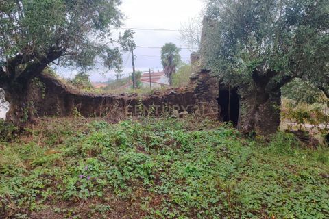 Villa i Tomar, Santarem, Tomar - € 47.000 | Ref: C0222-06679 - foto 2