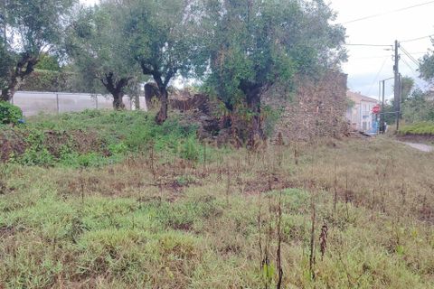 Villa i Tomar, Santarem, Tomar - € 47.000 | Ref: C0222-06679 - foto 4