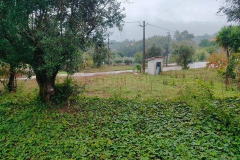 Villa i Tomar, Santarem, Tomar - € 47.000 | Ref: C0222-06679 - foto 5