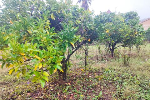 Villa i Tomar, Santarem, Tomar - € 47.000 | Ref: C0222-06679 - foto 8