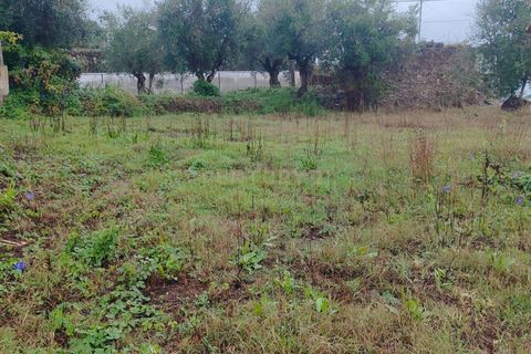 Villa i Tomar, Santarem, Tomar - € 47.000 | Ref: C0222-06679 - foto 9