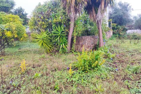 Villa i Tomar, Santarem, Tomar - € 47.000 | Ref: C0222-06679 - foto 11