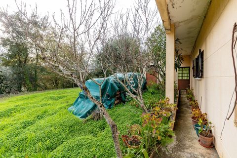 Villa a Pombal, Leiria, Pombal - € 195.000 | Ref: C0381-00847 - foto 45
