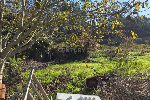 Villa i Pombal, Leiria, Pombal - € 68.000 | Ref: C0381-00846 - foto 17