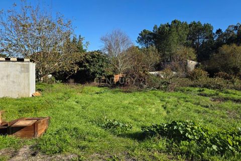 Villa i Pombal, Leiria, Pombal - € 68.000 | Ref: C0381-00846 - foto 18