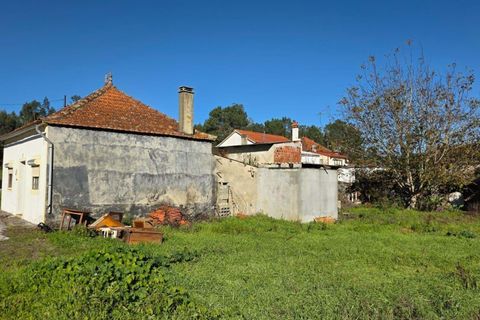 Villa i Pombal, Leiria, Pombal - € 68.000 | Ref: C0381-00846 - foto 19