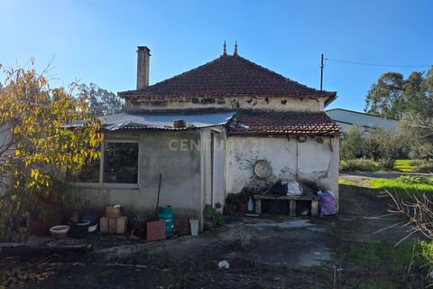 Villa i Pombal, Leiria, Pombal - € 68.000 | Ref: C0381-00846 - foto 21