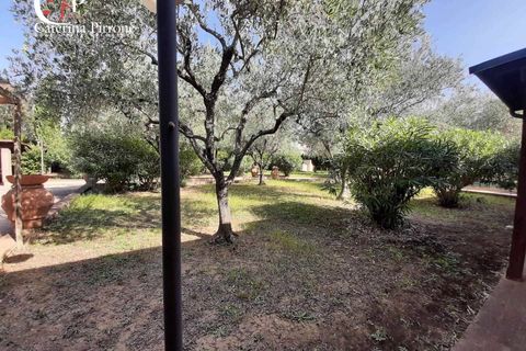 Villa i Cecina, Livorno, Cecina - € 800.000 | Ref: CV-PA168 - foto 6