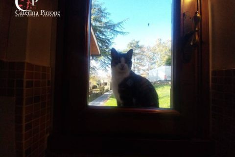 Villa a Londa, Florence, Londa - € 370.000 | Ref: GA94 - foto 23