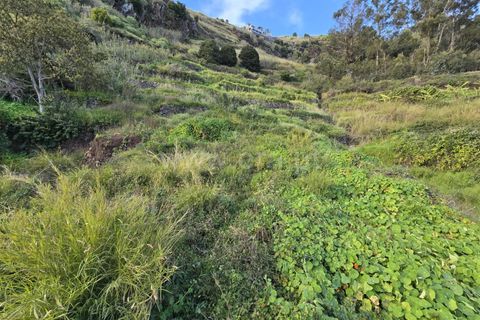 Villa i Calheta, Madeira, Calheta - € 1.535.000 | Ref: 081250103 - foto 12