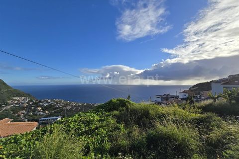 Villa i Calheta, Madeira, Calheta - € 1.535.000 | Ref: 081250103 - foto 13