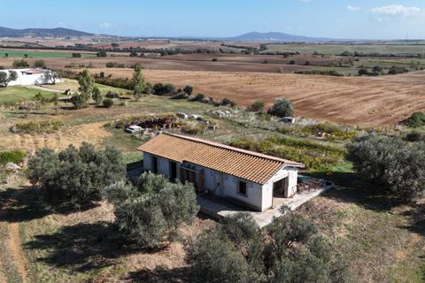 Landejendom i Capalbio, Grosseto, Capalbio - € 450.000 | Ref: v-226 - foto 1
