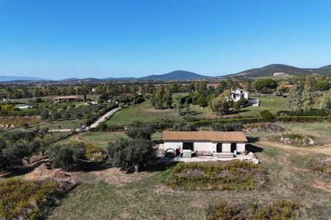 Landejendom i Capalbio, Grosseto, Capalbio - € 450.000 | Ref: v-226 - foto 3