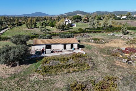 Landejendom i Capalbio, Grosseto, Capalbio - € 450.000 | Ref: v-226 - foto 6