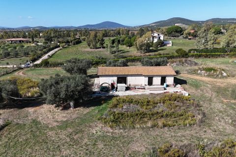 Landejendom i Capalbio, Grosseto, Capalbio - € 450.000 | Ref: v-226 - foto 7