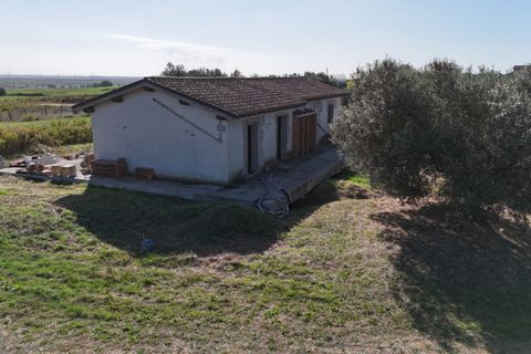 Landejendom i Capalbio, Grosseto, Capalbio - € 450.000 | Ref: v-226 - foto 8