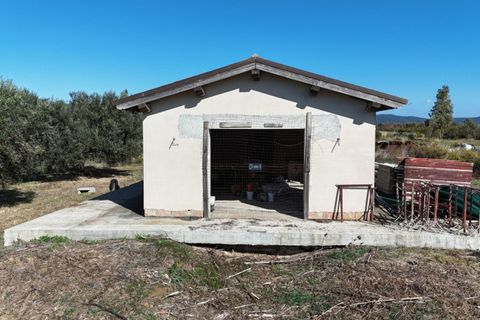 Landejendom i Capalbio, Grosseto, Capalbio - € 450.000 | Ref: v-226 - foto 9