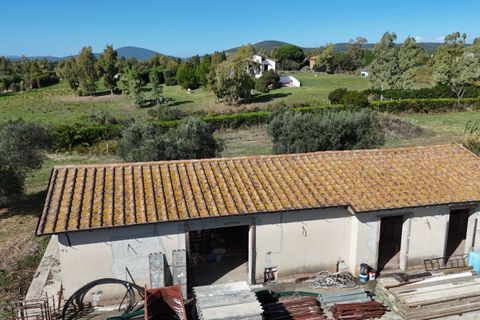 Landejendom i Capalbio, Grosseto, Capalbio - € 450.000 | Ref: v-226 - foto 11